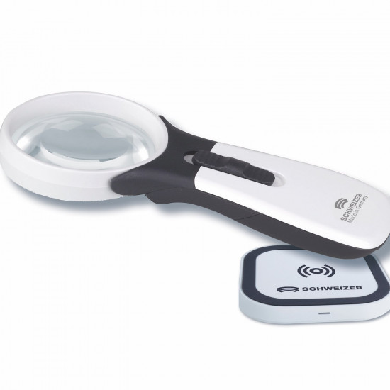 Schweizer ERGO-Lux i mobil